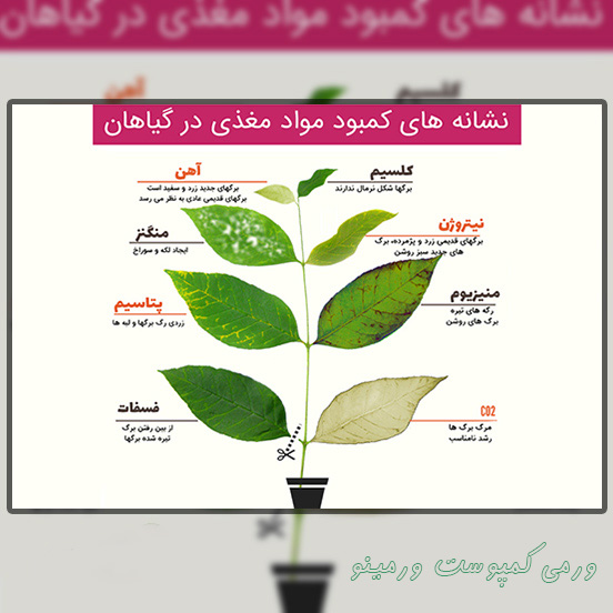 عناصر موجود در کود ورمی کمپوست